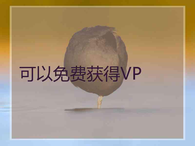 可以免费获得VP