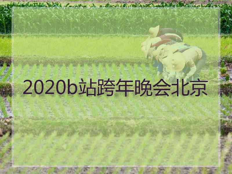 2020b站跨年晚会北京