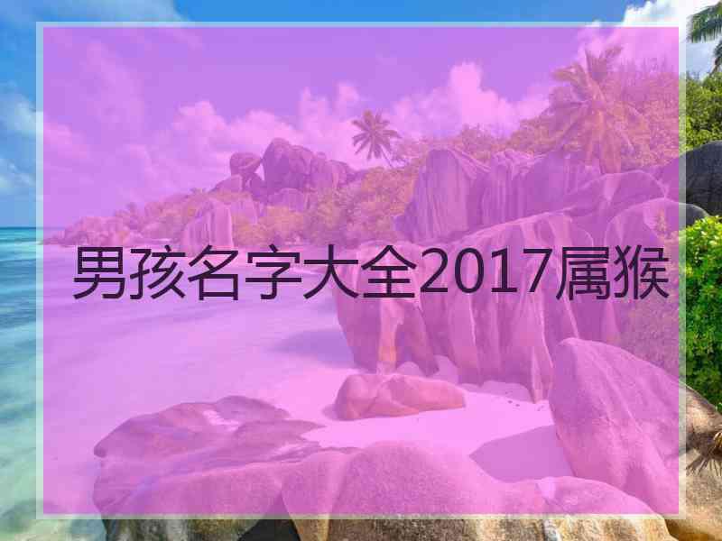 男孩名字大全2017属猴