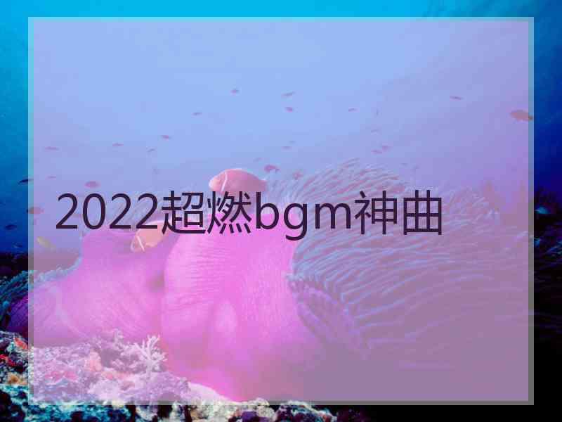 2022超燃bgm神曲