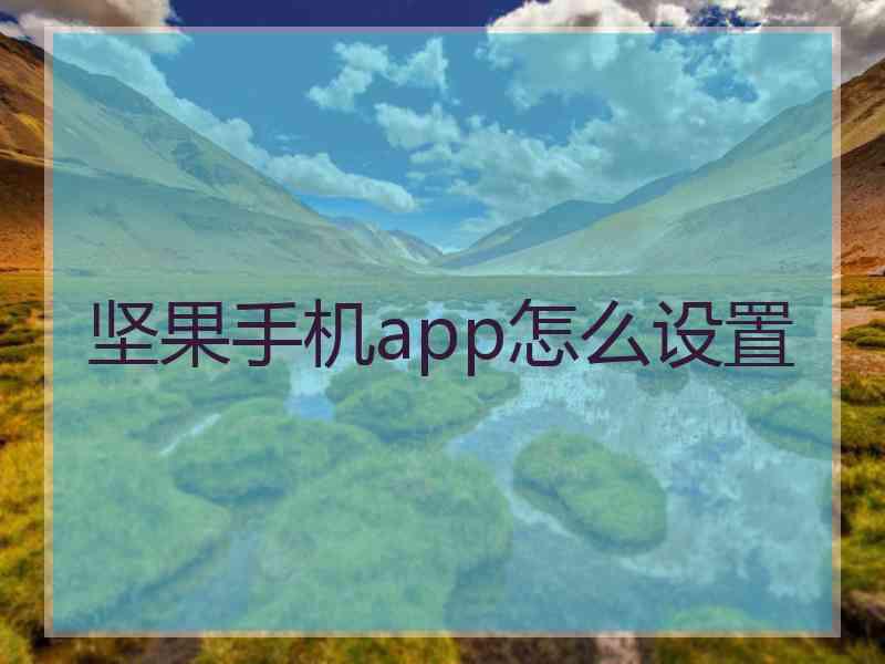 坚果手机app怎么设置