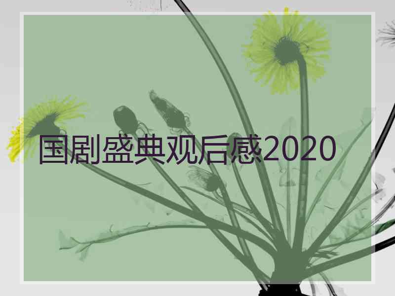 国剧盛典观后感2020