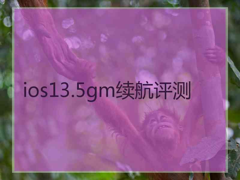 ios13.5gm续航评测