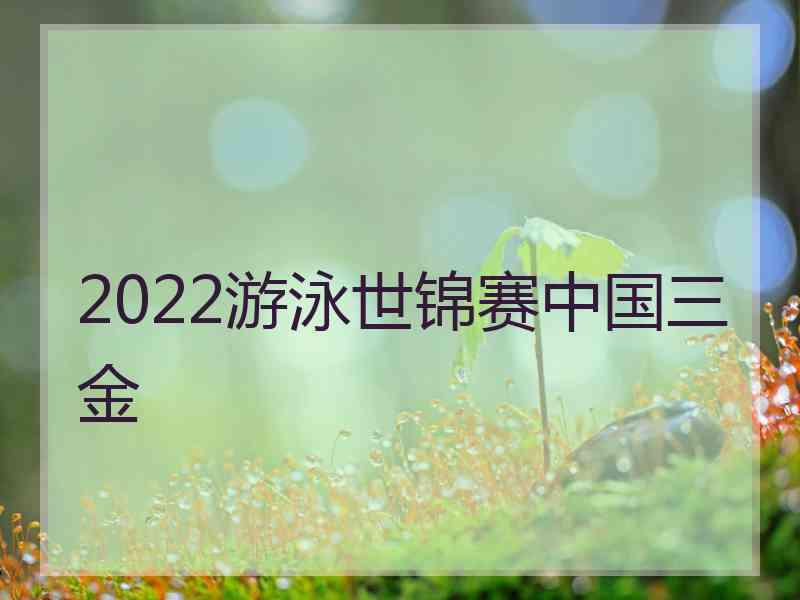 2022游泳世锦赛中国三金