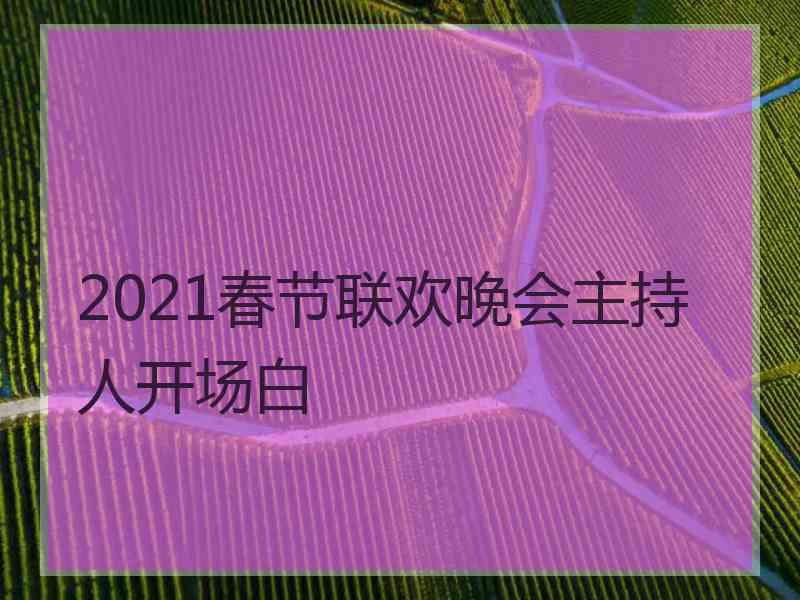 2021春节联欢晚会主持人开场白