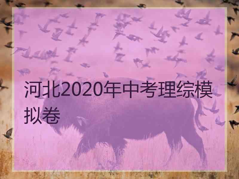 河北2020年中考理综模拟卷