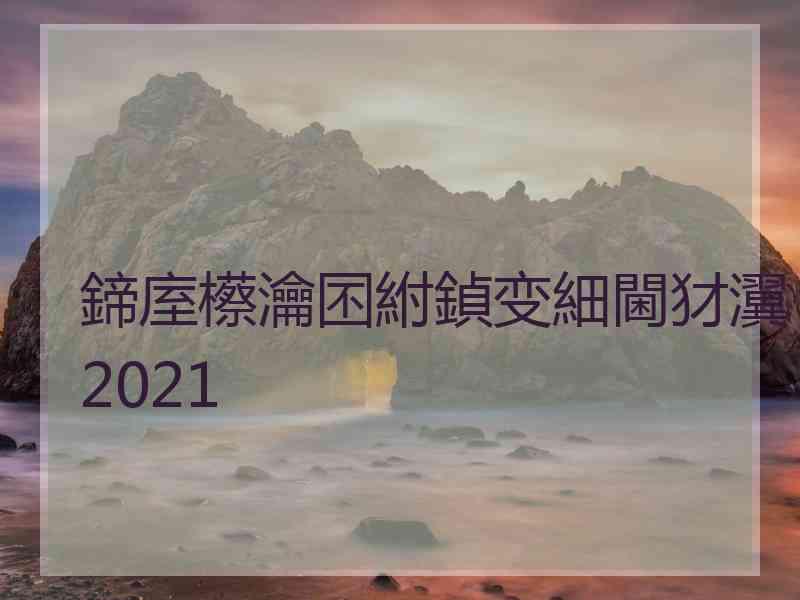 鍗庢櫒瀹囨紨鍞变細閫犲瀷2021