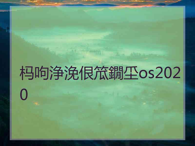 杩呴浄浼佷笟鐗坕os2020