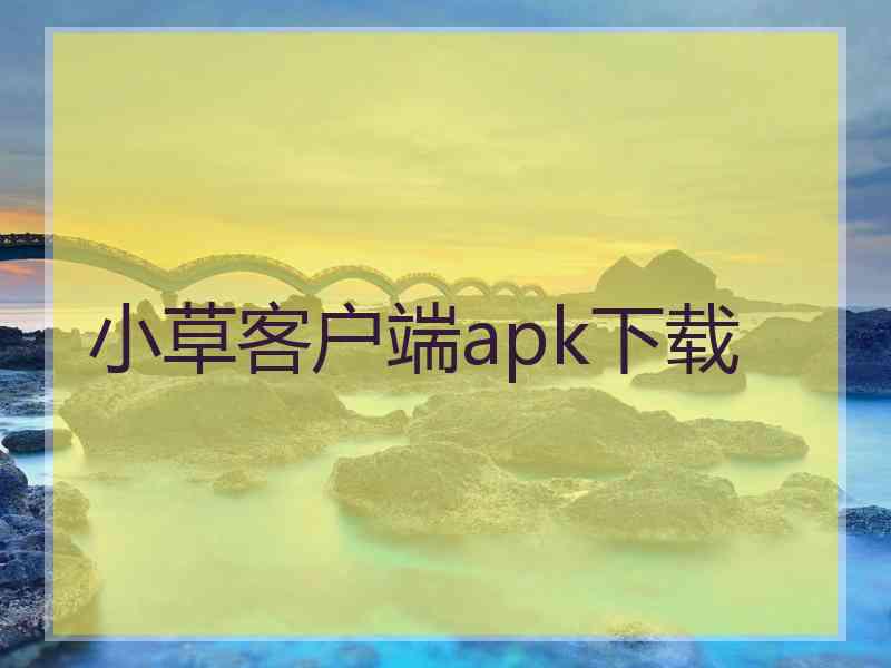 小草客户端apk下载