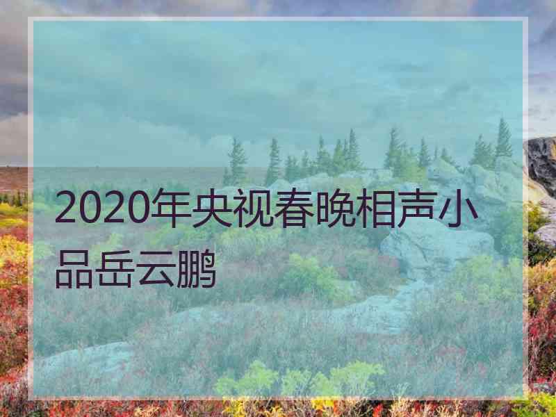 2020年央视春晚相声小品岳云鹏