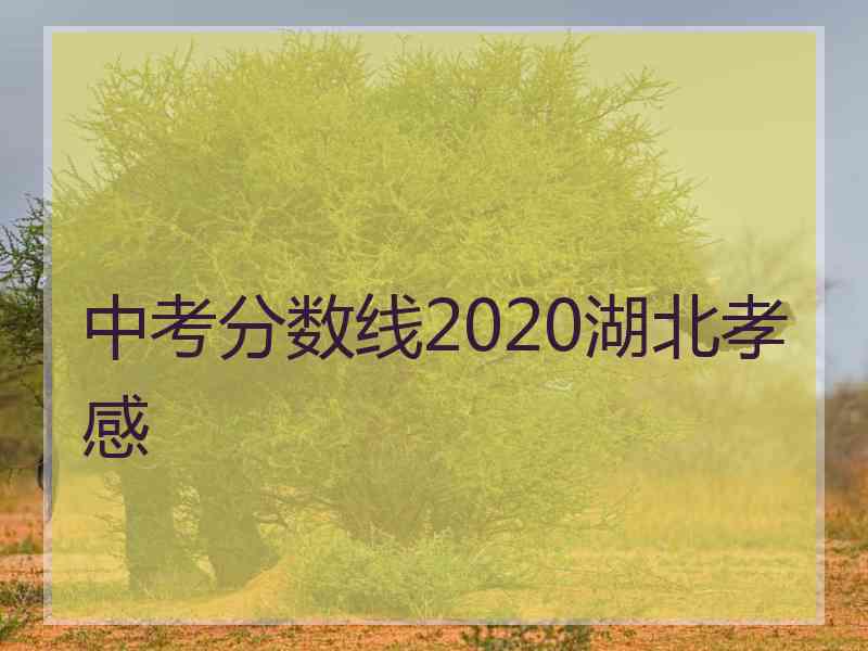 中考分数线2020湖北孝感