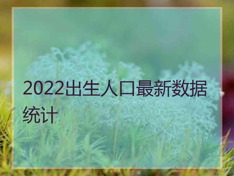 2022出生人口最新数据统计