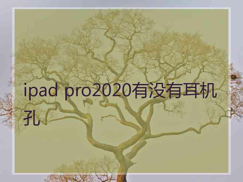 ipad pro2020有没有耳机孔