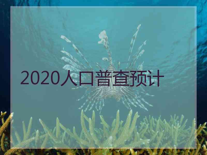 2020人口普查预计