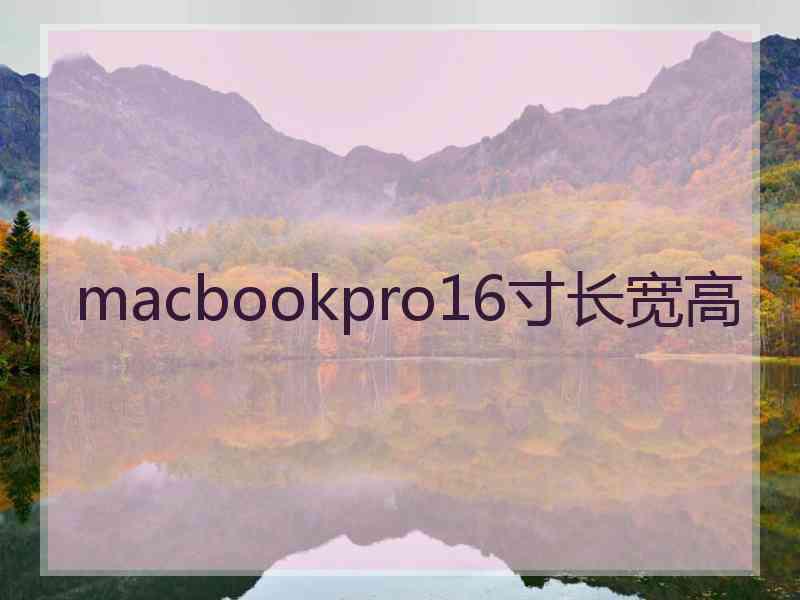 macbookpro16寸长宽高