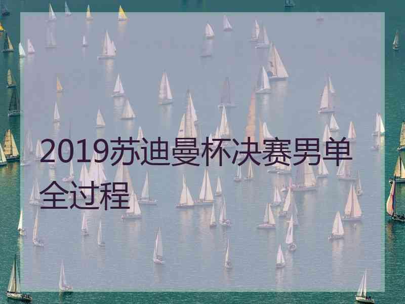 2019苏迪曼杯决赛男单全过程