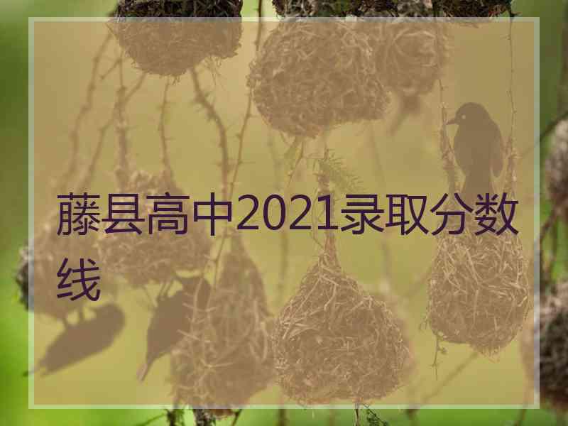 藤县高中2021录取分数线