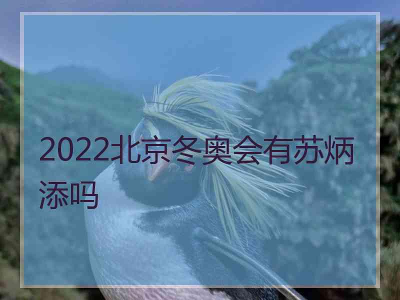 2022北京冬奥会有苏炳添吗