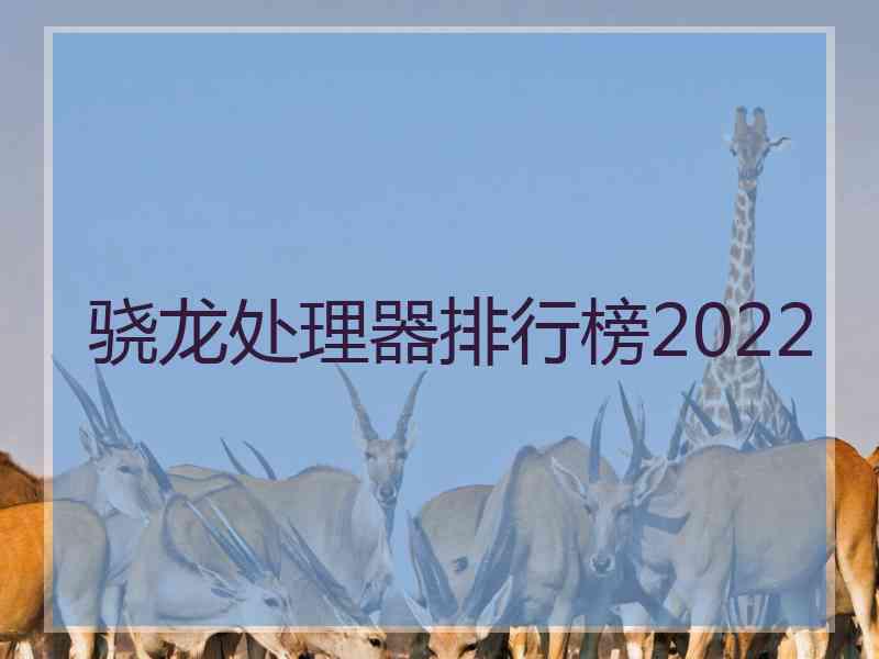 骁龙处理器排行榜2022