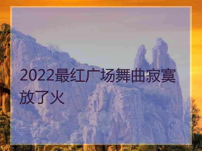 2022最红广场舞曲寂寞放了火