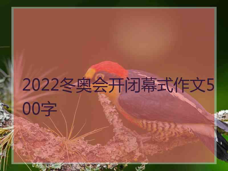 2022冬奥会开闭幕式作文500字