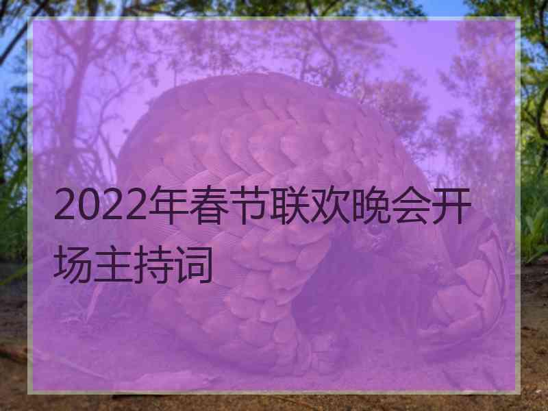 2022年春节联欢晚会开场主持词