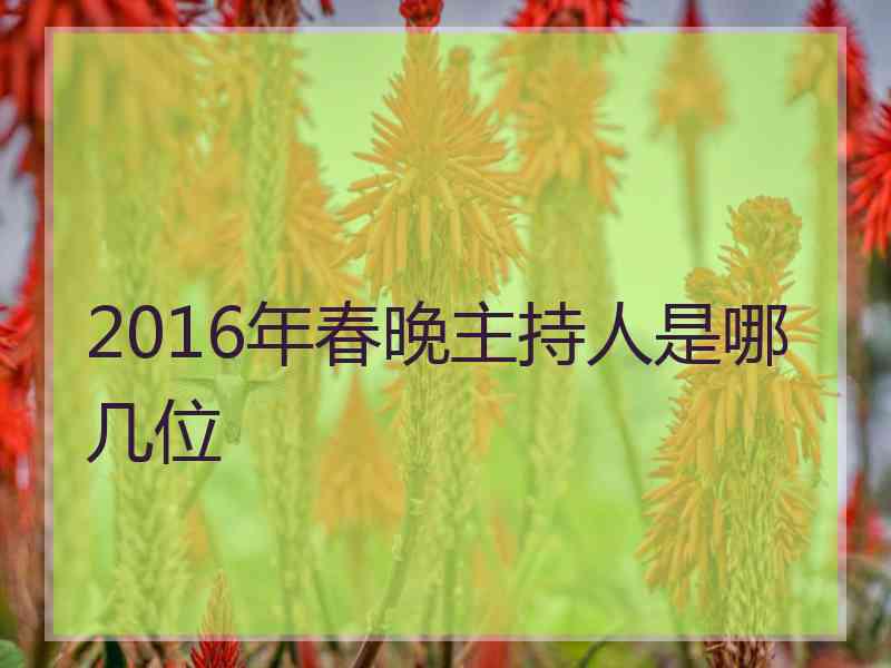 2016年春晚主持人是哪几位