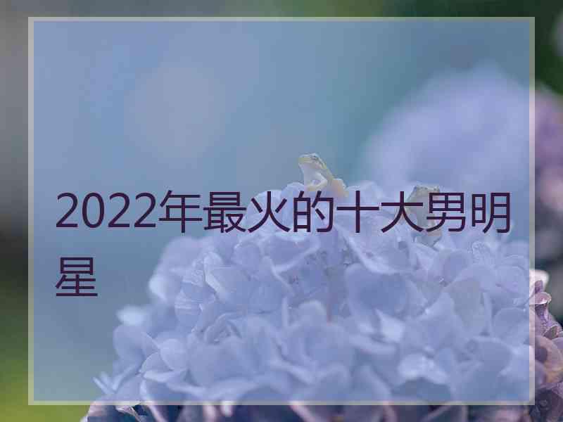 2022年最火的十大男明星