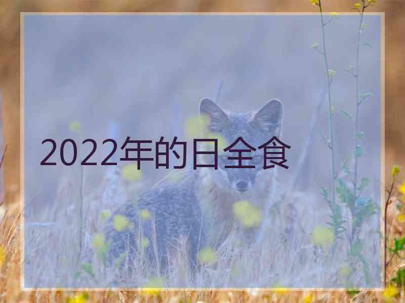 2022年的日全食