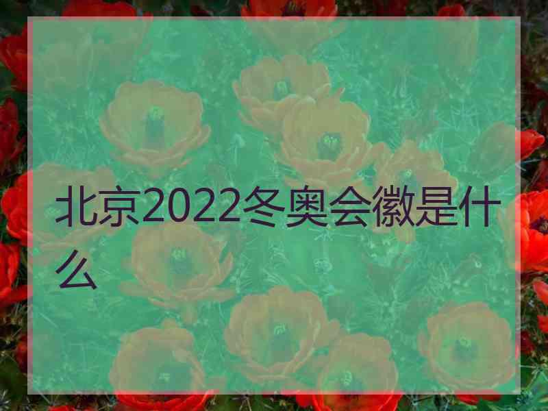 北京2022冬奥会徽是什么