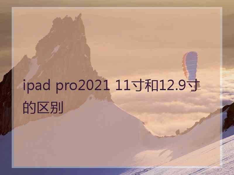 ipad pro2021 11寸和12.9寸的区别