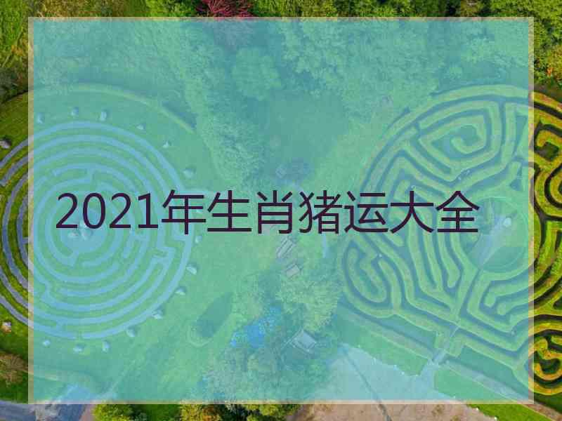 2021年生肖猪运大全