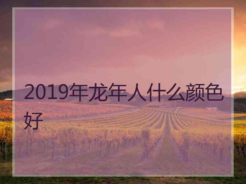 2019年龙年人什么颜色好