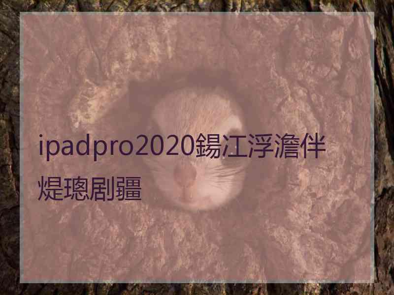 ipadpro2020鍚冮浮澹伴煶璁剧疆