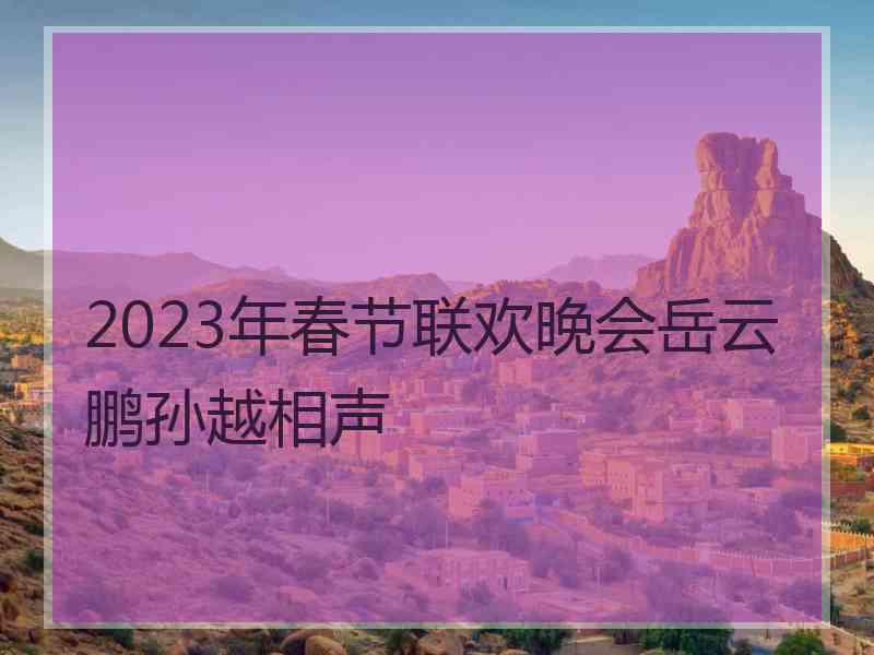 2023年春节联欢晚会岳云鹏孙越相声