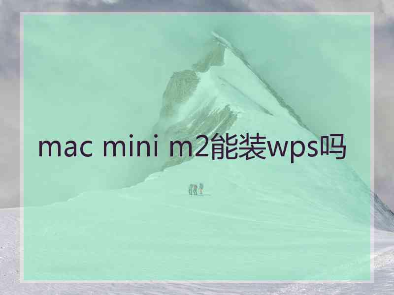 mac mini m2能装wps吗