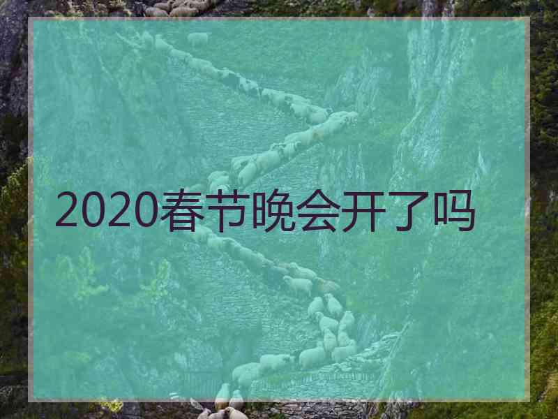 2020春节晚会开了吗