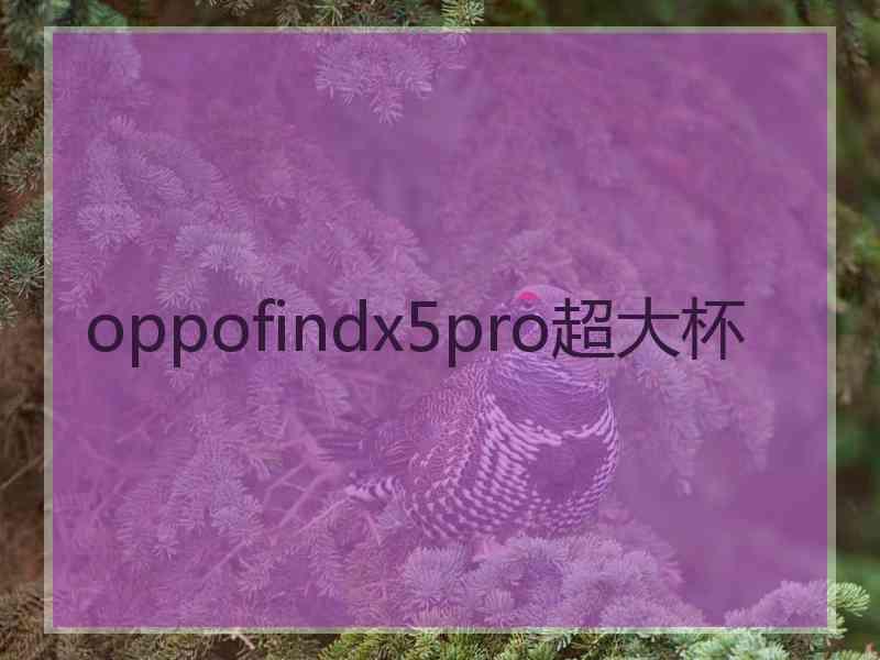 oppofindx5pro超大杯