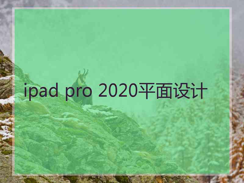 ipad pro 2020平面设计