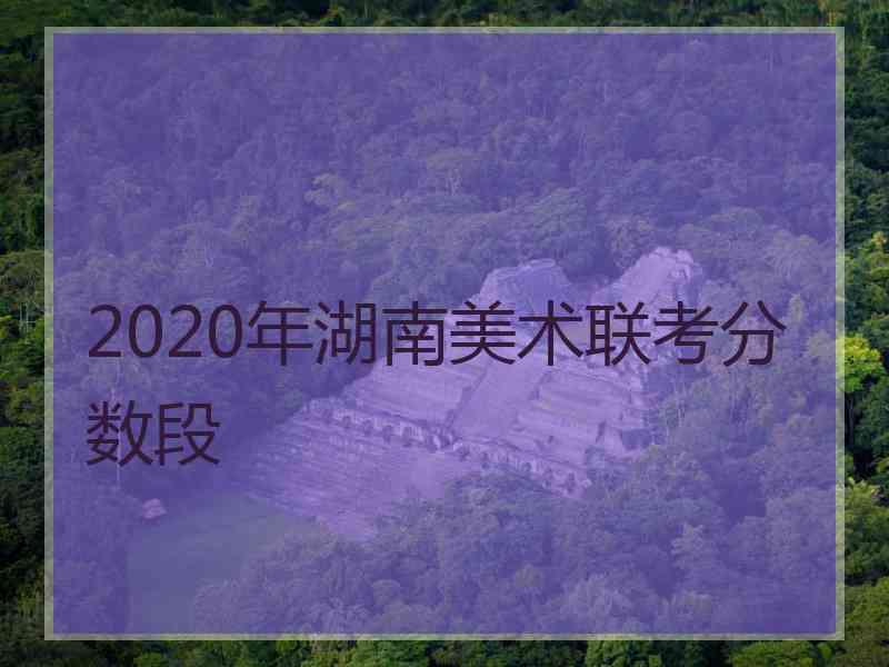 2020年湖南美术联考分数段