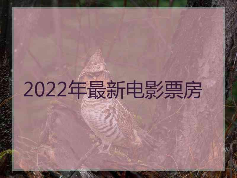 2022年最新电影票房