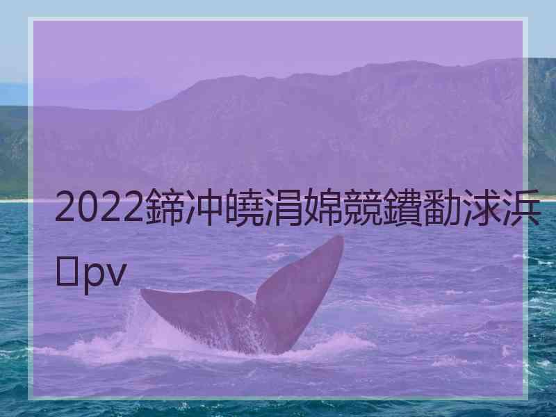 2022鍗冲皢涓婂競鐨勫浗浜pv