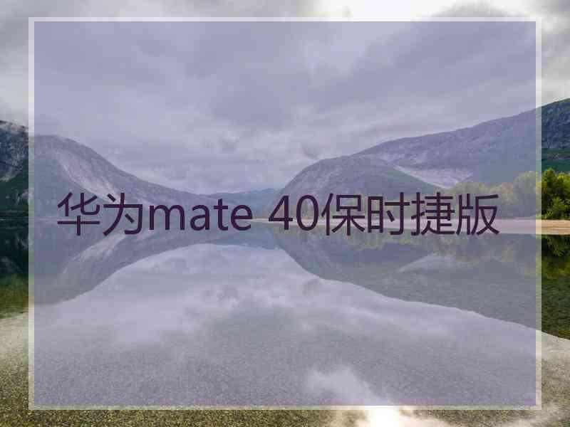 华为mate 40保时捷版