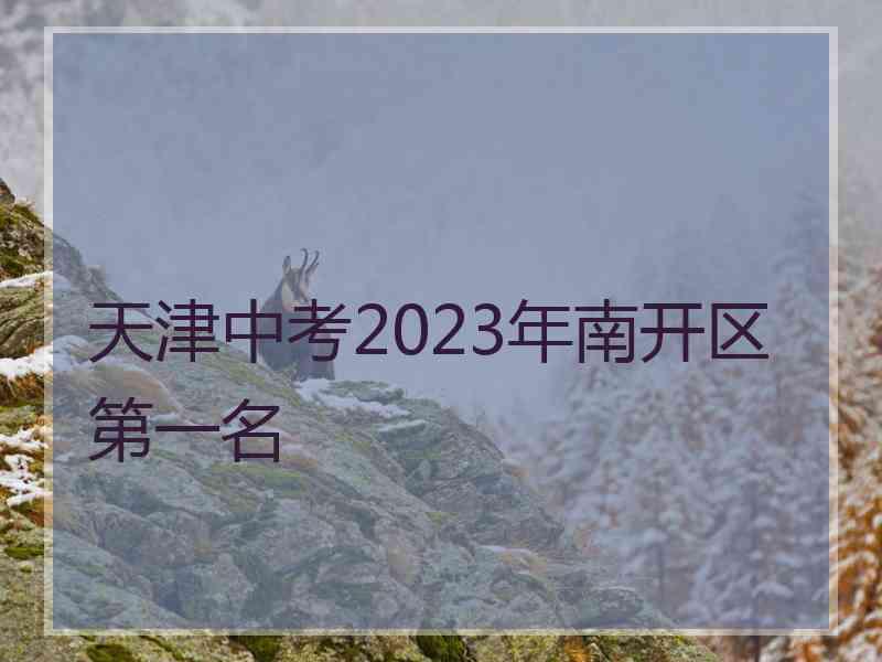 天津中考2023年南开区第一名