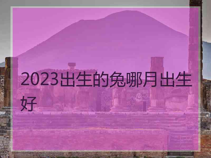 2023出生的兔哪月出生好