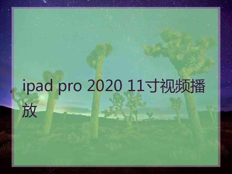 ipad pro 2020 11寸视频播放