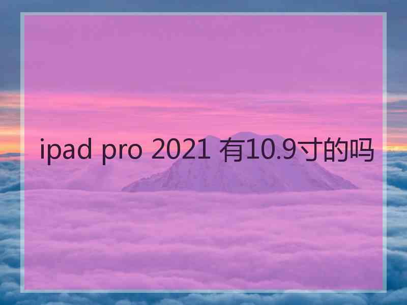 ipad pro 2021 有10.9寸的吗