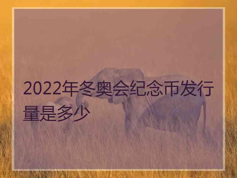 2022年冬奥会纪念币发行量是多少