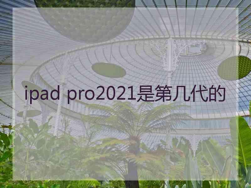 ipad pro2021是第几代的