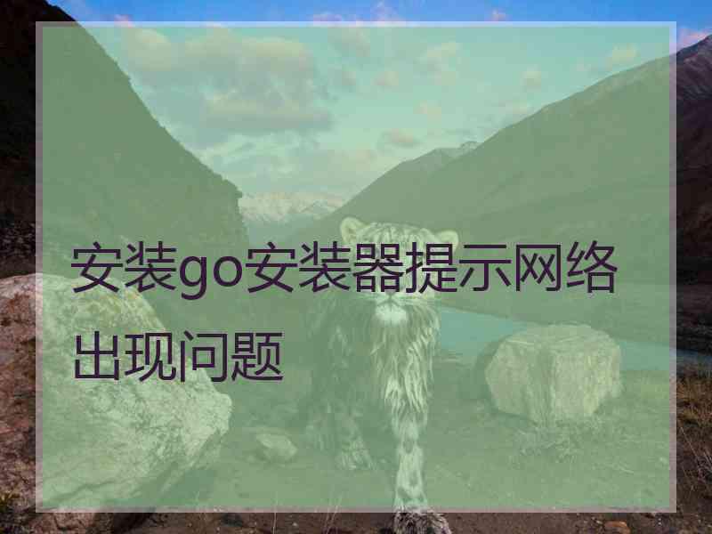 安装go安装器提示网络出现问题